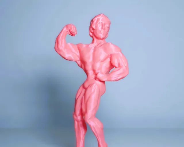 Arnold Schwarzenegger mr Olympia statue — Фото 7 из 7