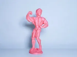 Arnold Schwarzenegger mr Olympia statue