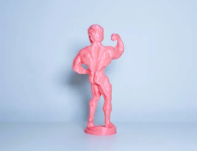 Arnold Schwarzenegger mr Olympia statue — Фото 5 из 7