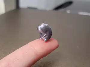 Mini capybara