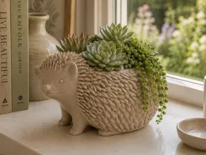 Cute Hedgehog Planter Succulent Pot Decoration