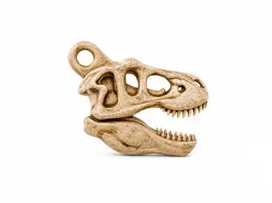 Tyrannosaurus Rex | Fossil Skull Keychain