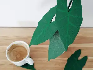 Alocasia Frydek plant with 6 coasters