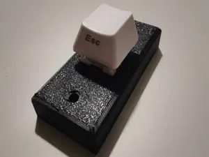 Doorbell box for keyboard switch