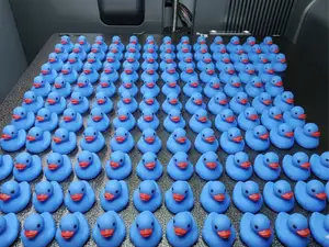 Fidget/Reward Ducks (ADHD Support)