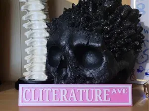 Bookshelf Sign - CLITERATURE (Multi. Options)