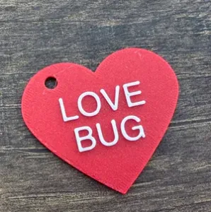 Love Bug Conversation Heart Keychain