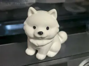 可爱萨摩耶