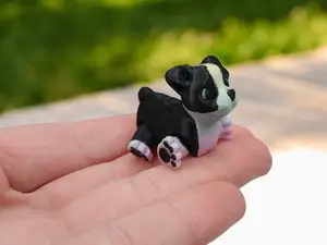 Boston Terrier Puppy Flexible Dog