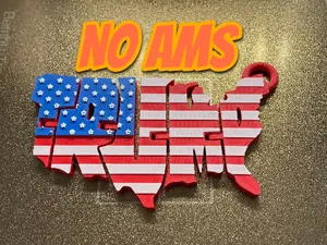 Trump USA Flag Keychain Flexi Fidget
