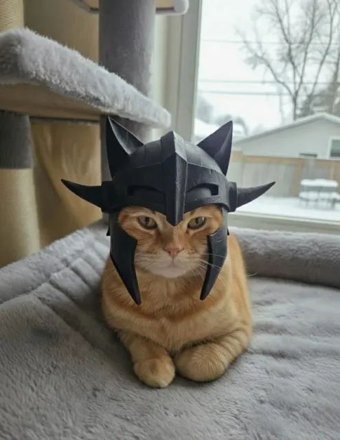 Meow-rior’s Helm: Fantasy Cat Helmet The Skyrim — Фото 5 из 6