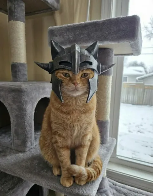 Meow-rior’s Helm: Fantasy Cat Helmet The Skyrim — Фото 4 из 6