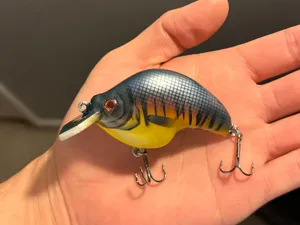 Crankbait Lure for Bass, Fishing Lure, Jigging
