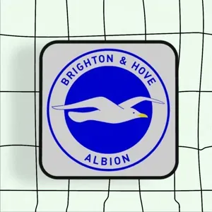 Brighton & Hove Albion Football Club - 2D Wallart