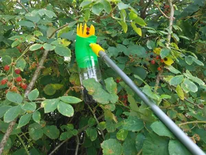 Raccoglitore di more e piccola frutta