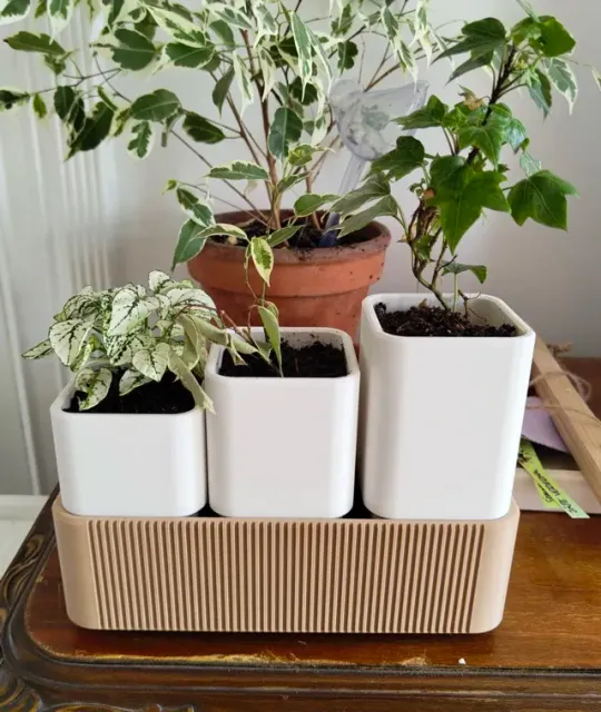 Self Watering Tripot — Фото 2 из 3