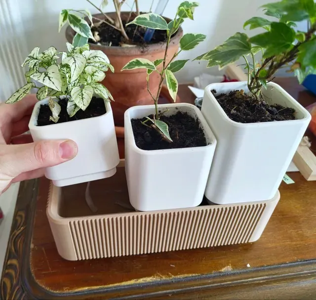 Self Watering Tripot — Фото 3 из 3