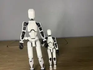 Dummy 5 Dummy 13 Variant