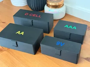 Hinged Battery Storage Boxes – AA, AAA, D-Cell, 9V