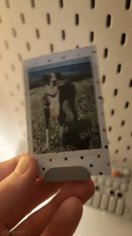 Ikea Skadis - Instax Photo Holder — Фото 2 из 8