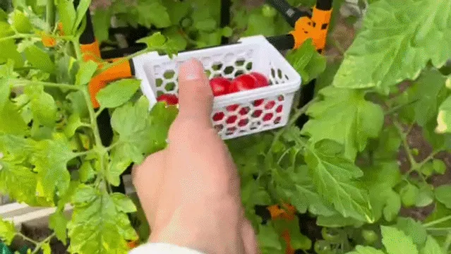 Plant Support System - Modular & Parametric — Фото 6 из 17