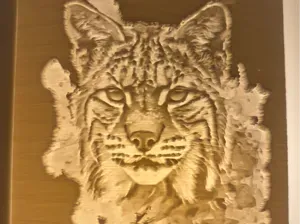 Bobcat Night Light