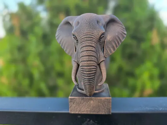 ELEPHANT BUST — Фото 5 из 11