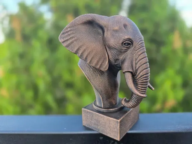 ELEPHANT BUST — Фото 6 из 11