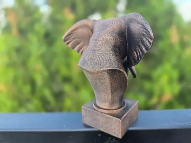 ELEPHANT BUST — Фото 8 из 11