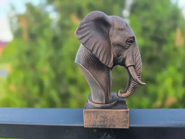 ELEPHANT BUST — Фото 7 из 11