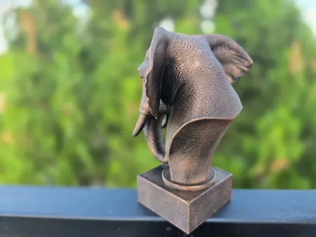 ELEPHANT BUST — Фото 10 из 11