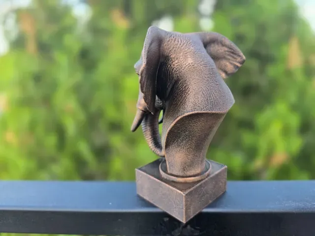 ELEPHANT BUST — Фото 11 из 11