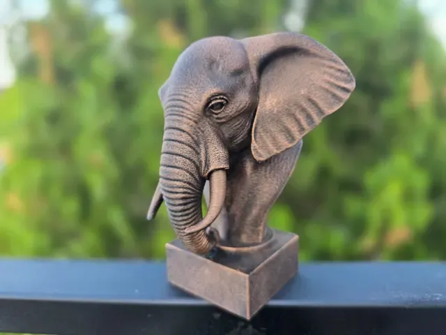 ELEPHANT BUST — Фото 2 из 11