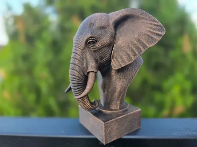 ELEPHANT BUST — Фото 4 из 11