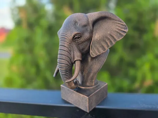 ELEPHANT BUST — Фото 3 из 11