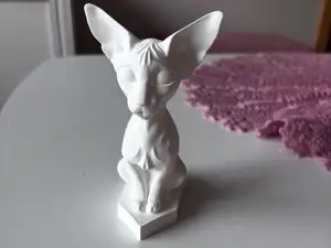 Sphinx cat