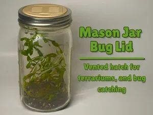 Mason Jar Bug Lid | For Terrariums & Bug Catching