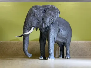 Elephant-Ultra-realistic figure