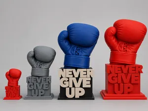 Guantone Motivazionale "Never Give Up"