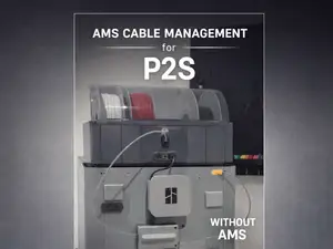AMS Cable Management for P2S /Organizer