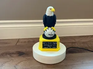 Eagle Ball Holder
