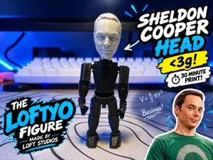 Sheldon Cooper head for Loftyo