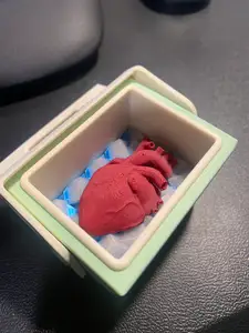 Heart on ice for 1/4 scale Igloo RC Cooler