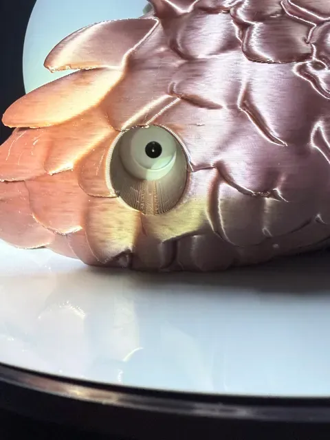 Magical Dragon Alexa Echo Pop Holder — Image 9 of 14