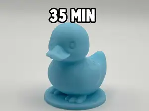 Cute Sitting Duck – 35 Min print