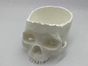 Skull Planter with drainage 