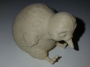 Cute Mini Kiwi