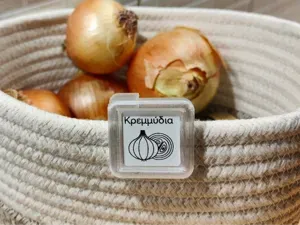 Square Tag Display Clip (for NFC, RFID & Labels)