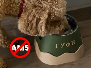 Personalized Wave Pet Bowl for Cats & Dogs