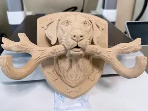 The Retriever's Grip Leash Hook